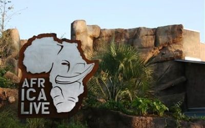 Africa Live Exhibit at San Antonio Zoo