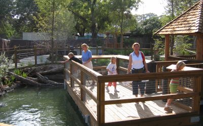 Africa Live Exhibit at San Antonio Zoo