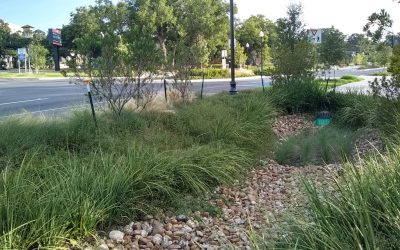 CM-Allen-Parkway-Reconstruction-1