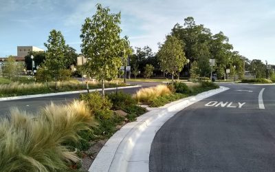 CM-Allen-Parkway-Reconstruction-2