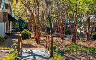 Cypress Gardens