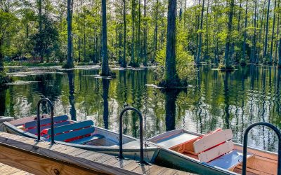 Cypress Gardens