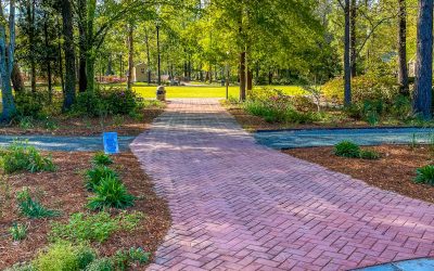 Cypress Gardens