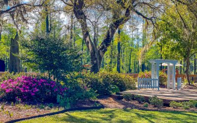 Cypress Gardens