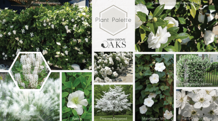 High-Grove-Oaks-Branding-4