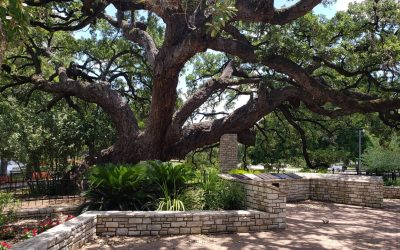 new-braunfels-hike-bike-9