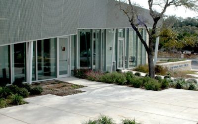 parman-library-san-antonio-3