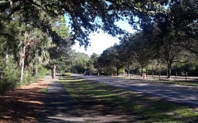 Seabrook Island Entry Road