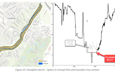 Socastee Creek Watershed Flood Risk & Mitigation Study